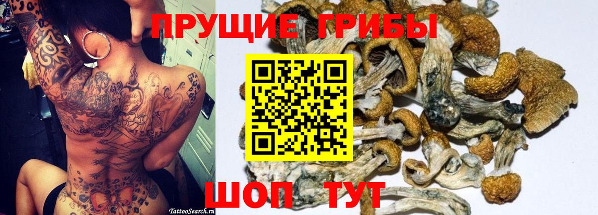 Нарткала  Псилоцибиновые грибы прущие грибы  Галлюциногенные грибы Psilocybe  Вход с VPN 